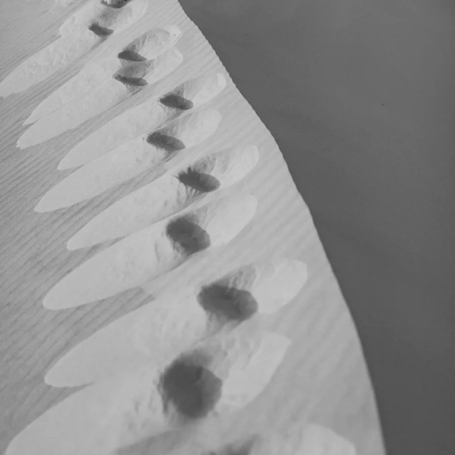 Kelso Sand Dunes print