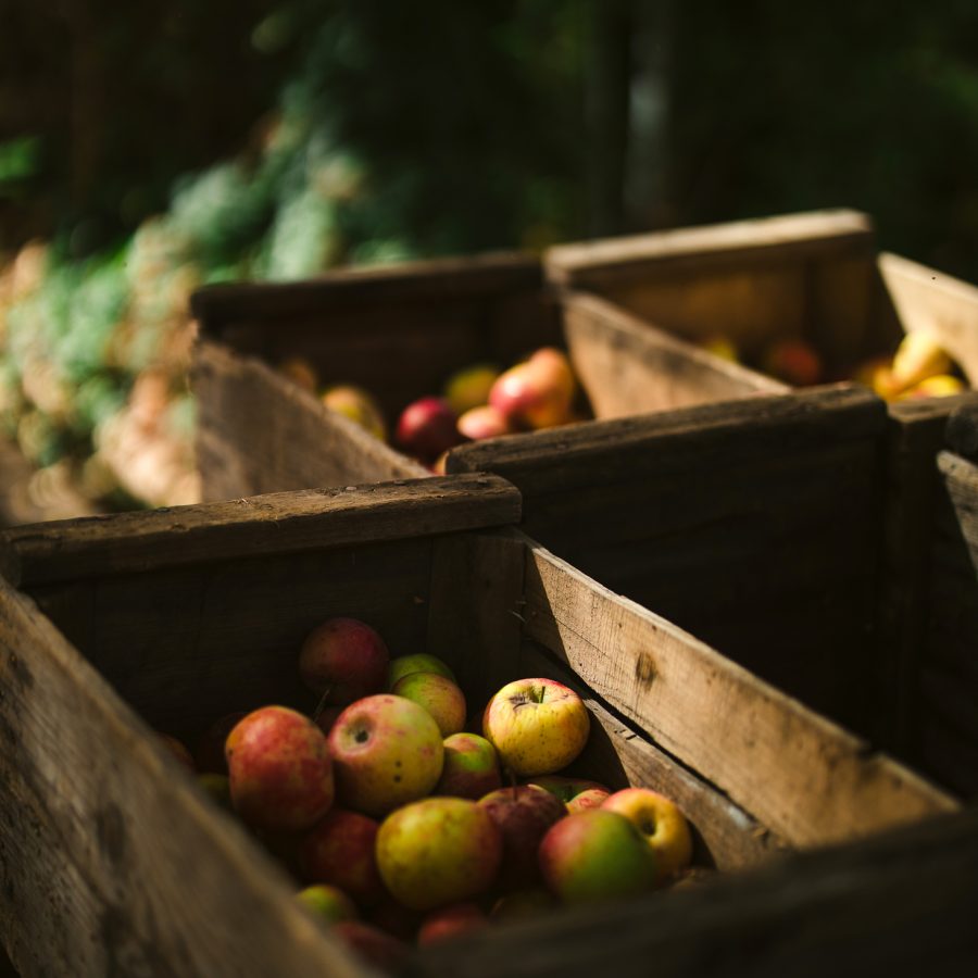 apple-crates-los-rios-print