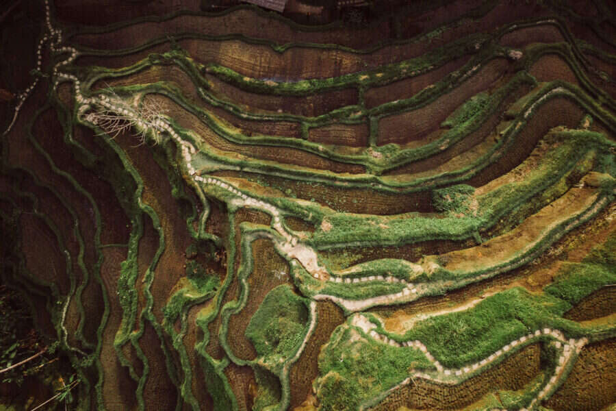 Bali Aerial Terraforms Print – Limited Edition