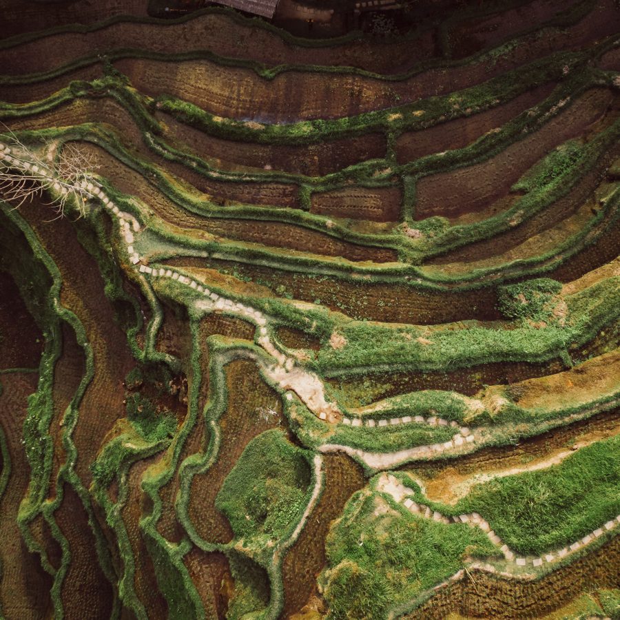 Bali Aerial Terraforms Print – Limited Edition