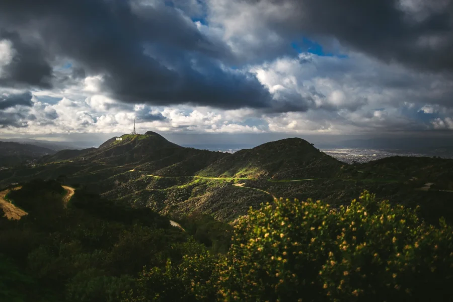 Griffith Park Hollywood Hills Print – Limited Edition