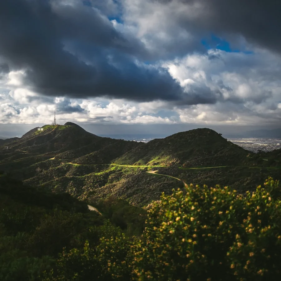 Griffith Park Hollywood Hills Print – Limited Edition