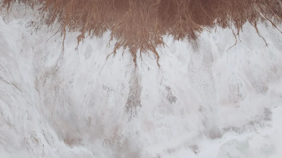 Top-down view of salt veins where the edge of Lake Manly meets desert sand, Death Valley