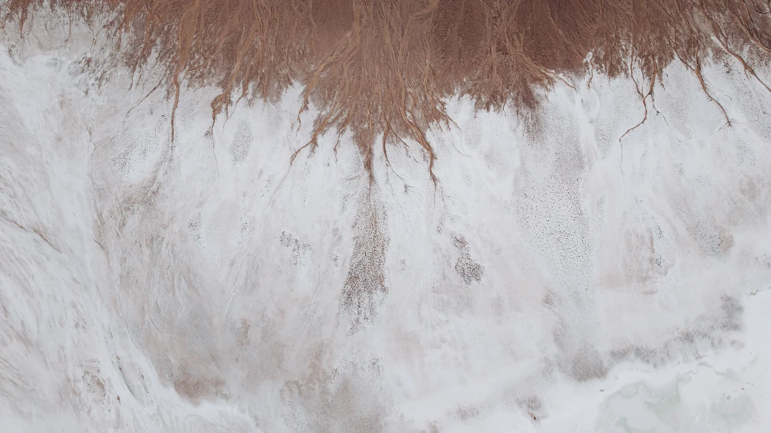 Lake Manly Veins Print – Limited Edition