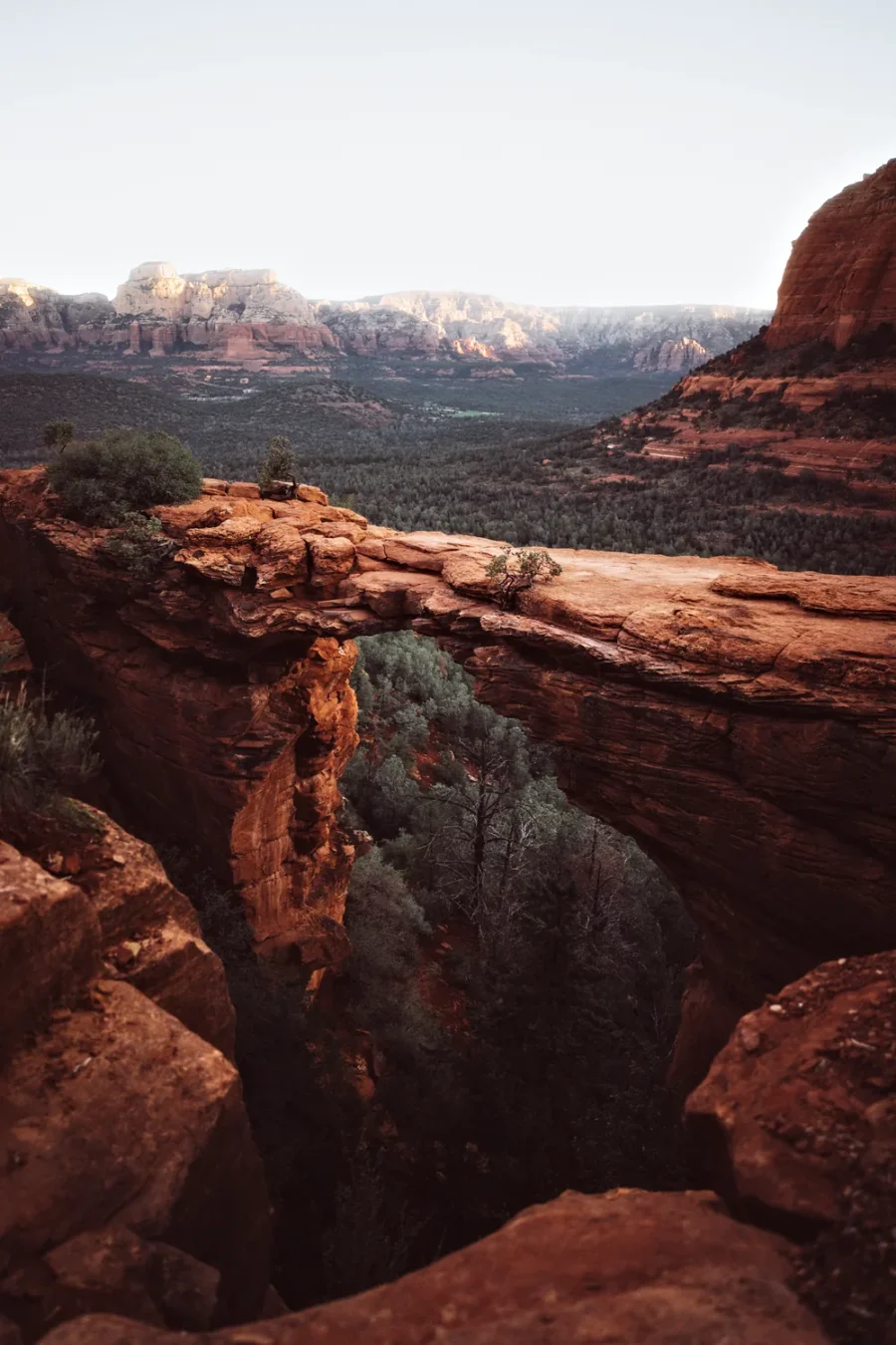 Vertical view of Devil's Bridge in Sedona, Arizona in early morning light, with red rock boulders in the foreground, the empty arch across the middle and sunlit cliffs in the distance.