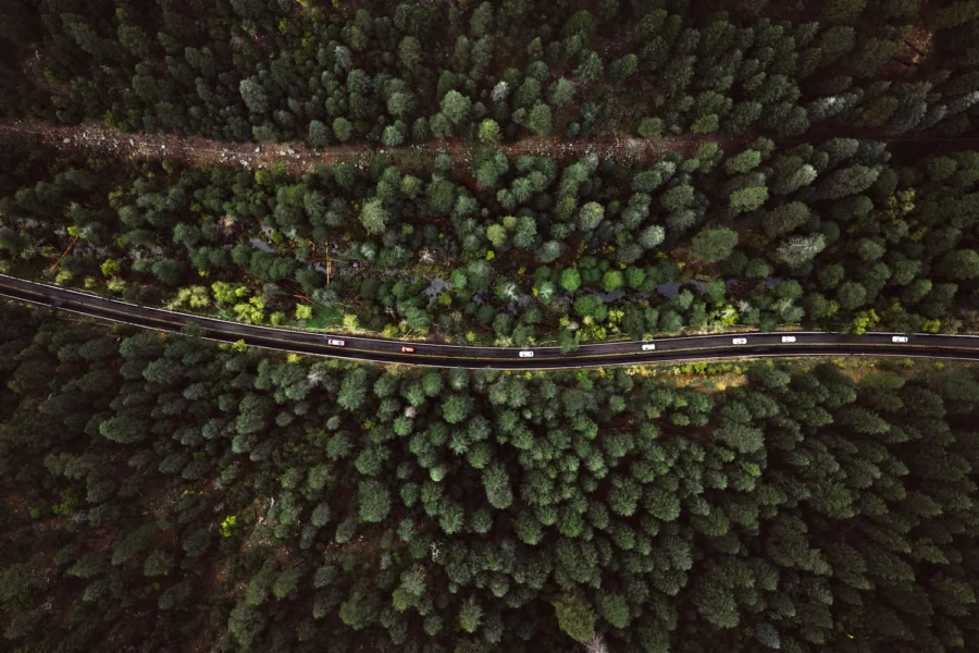 Aerial top-down view of State Route 89A winding through dense forest in Oak Creek Canyon, Arizona, with a line of cars on the road.